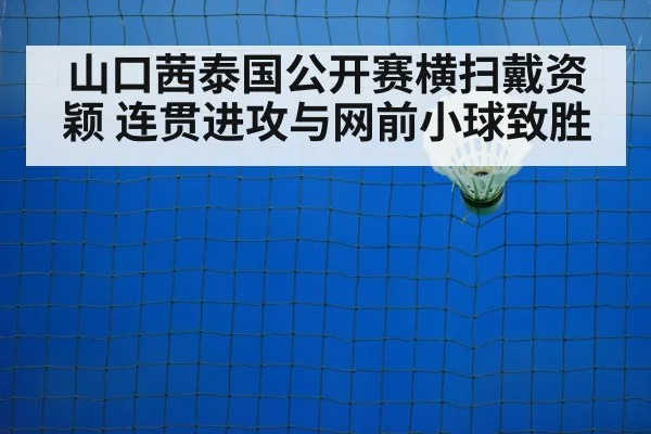 badminton net play